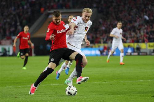 Ultimate Guide to Rabbit Betting